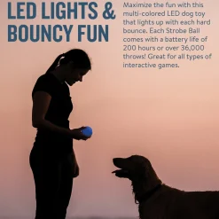 Planet Dog Orbee-Tuff Flashing Strobe Ball Dog Toy - Glow in the Dark Best