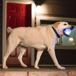 Planet Dog Orbee-Tuff Flashing Strobe Ball Dog Toy - Glow in the Dark Best