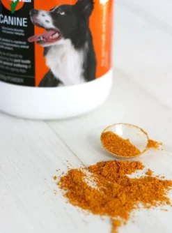 Rosehip Vital Joint Health & Wellbeing Powder for Dogs - with Vitamin C Discount
