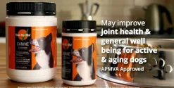 Rosehip Vital Joint Health & Wellbeing Powder for Dogs - with Vitamin C Discount