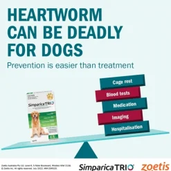 Simparica Trio Flea, Tick & Heartworm Chew for Small Dogs 5.1-10kg Outlet