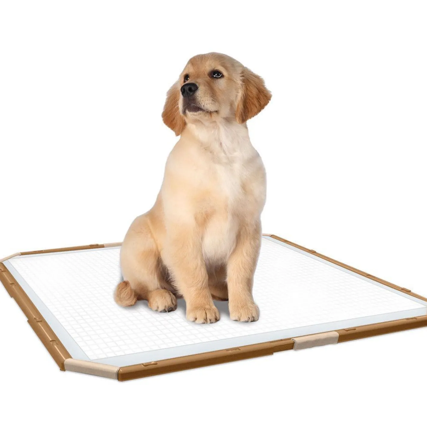 Simple Solution Training Pad Holder with Snap-On Clips to Hold Puppy Pads in Place New