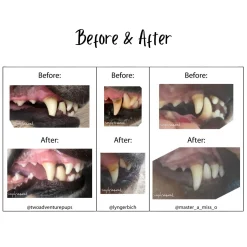 Simply Seaweed Natural Dental Health Care for Cats & Dogs 40g/200g Hot