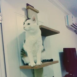 SmartCat Multi-Level Over-the-door Cat Climber Scratch Tower Clearance