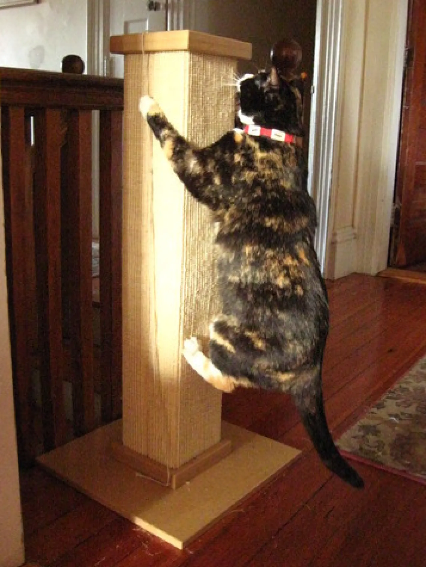 SmartCat Ultimate Heavy-Duty Sisal Cat Scratch Post Hot