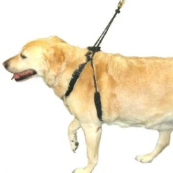 Sporn Halter Harness - The Safe & Humane Dog Halter - Small Online