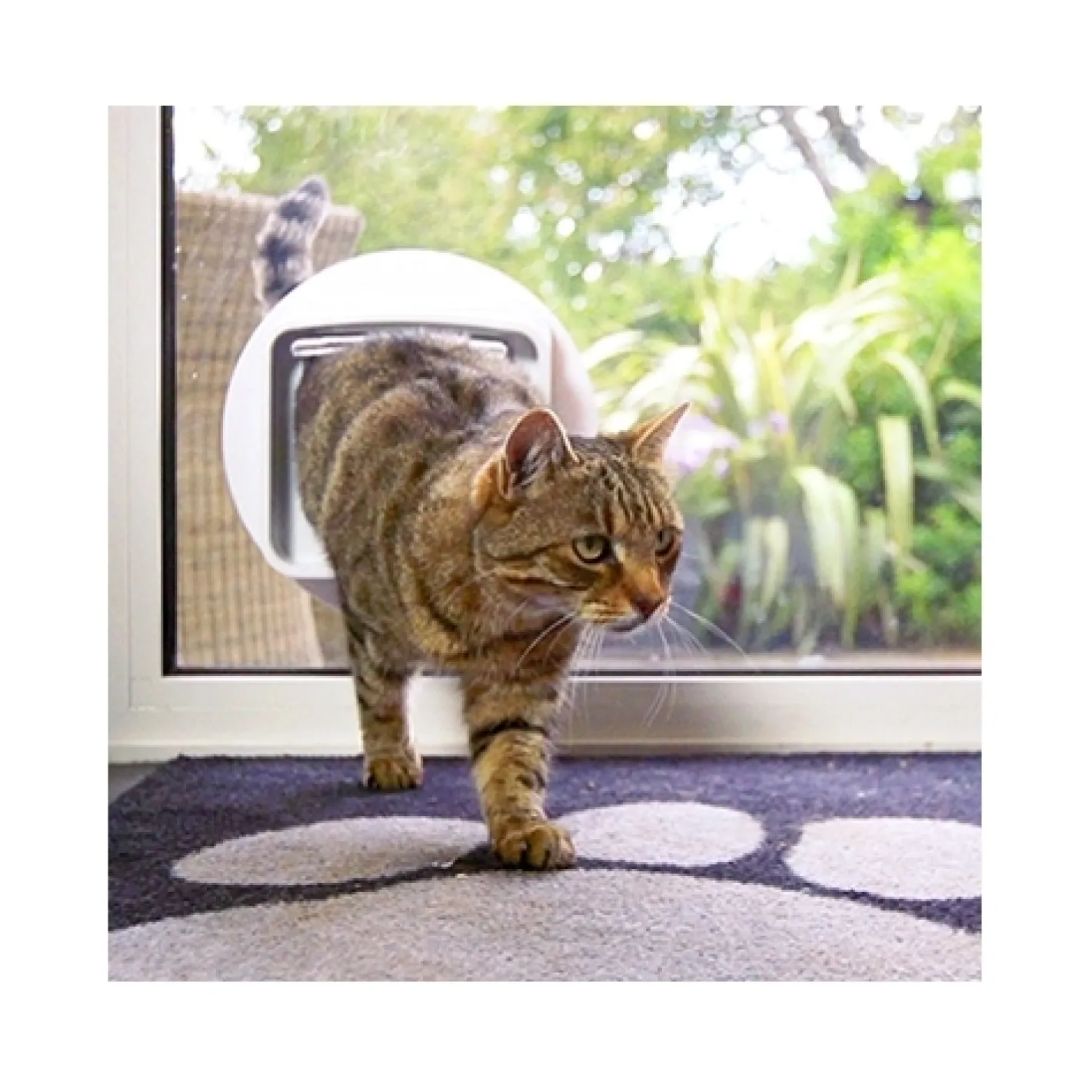 Sure Petcare Sureflap Microchip Connect Cat Door (Small) & Connect Wifi Hub Option Hot