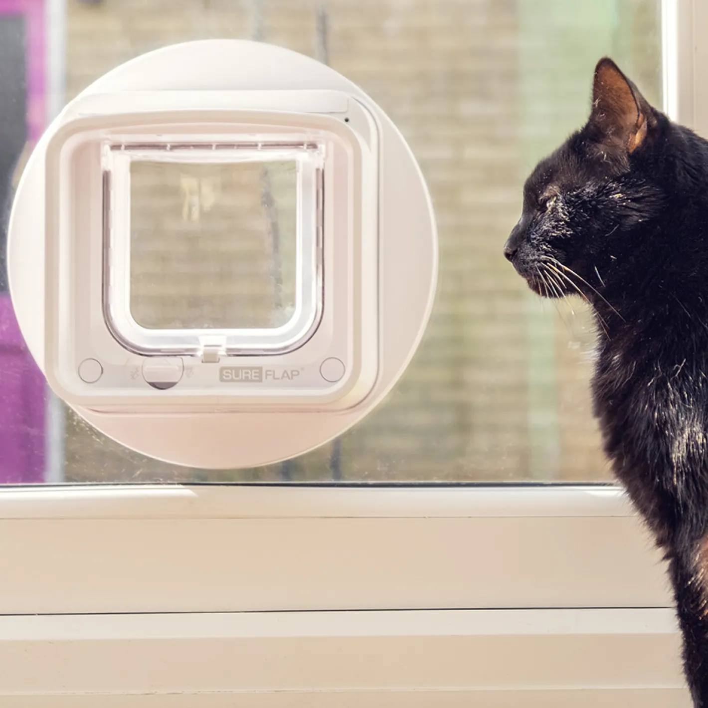 Sure Petcare Sureflap Microchip Connect Pet Door (Large) & Connect Wifi Hub Option Discount