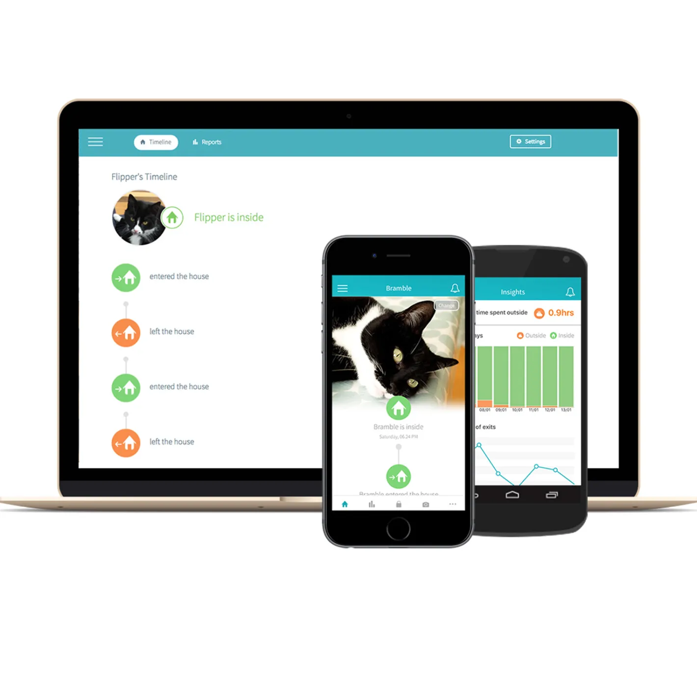 Sure Petcare Sureflap Microchip Connect Pet Door (Large) & Connect Wifi Hub Option Discount