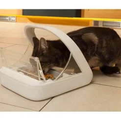 Sure Petcare Surefeed Automatic Microchip Pet Feeder Bowl for Cats & Dogs + Bonus Collar Tag Best
