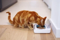 Sure Petcare Surefeed Motion-Activated Battery Operated Sealed Pet Food Bowl Online