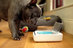 Sure Petcare Surefeed Motion-Activated Battery Operated Sealed Pet Food Bowl Online