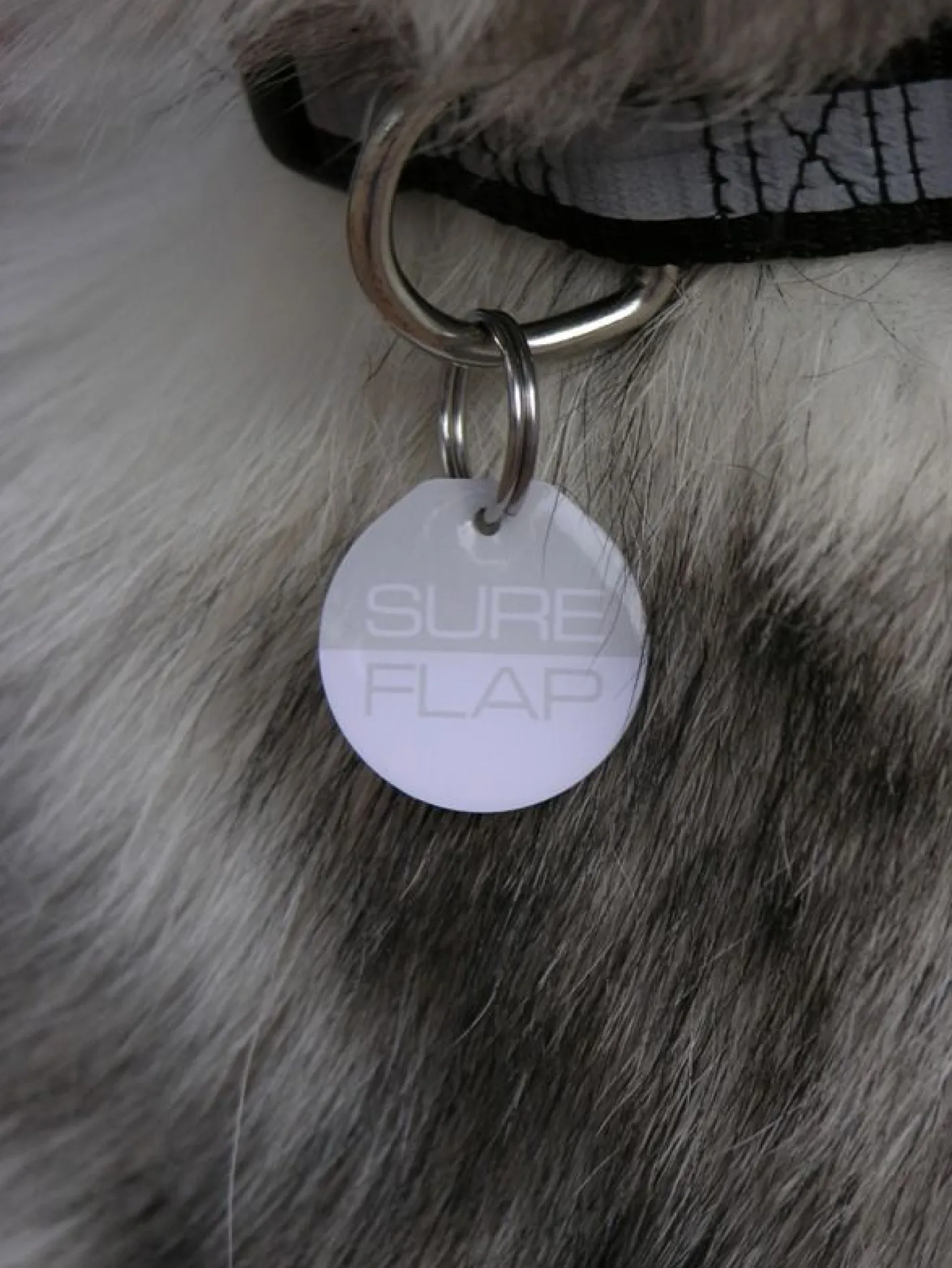Sure Petcare SureFlap Automatic Microchip Cat Door for Cats and Small Dogs - SMALL DOOR Hot
