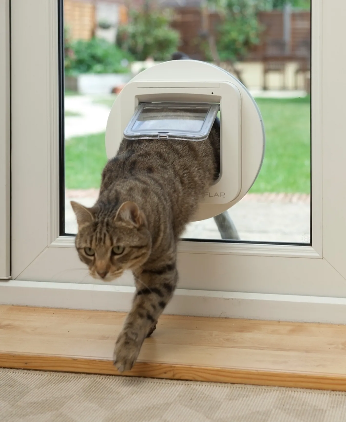 Sure Petcare SureFlap Microchip Pet Door for Cats & Dogs with Curfew Mode - Large Clearance
