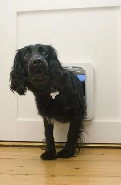 Sure Petcare SureFlap Microchip Pet Door for Cats & Dogs with Curfew Mode - Large Clearance