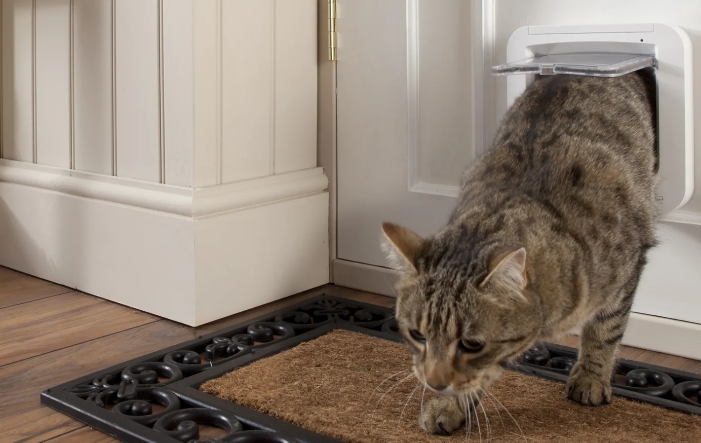 Sure Petcare SureFlap Microchip Pet Door for Cats & Dogs with Curfew Mode - Large Clearance