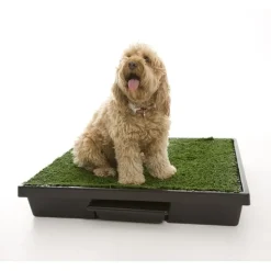 Pet Loo The Original for Indoor or Outdoor Use - 3 Sizes Best