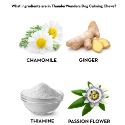 Thunderworks Thunderwunders Calming Chews for Stressed and Anxious Dogs 190g Value Pack Hot