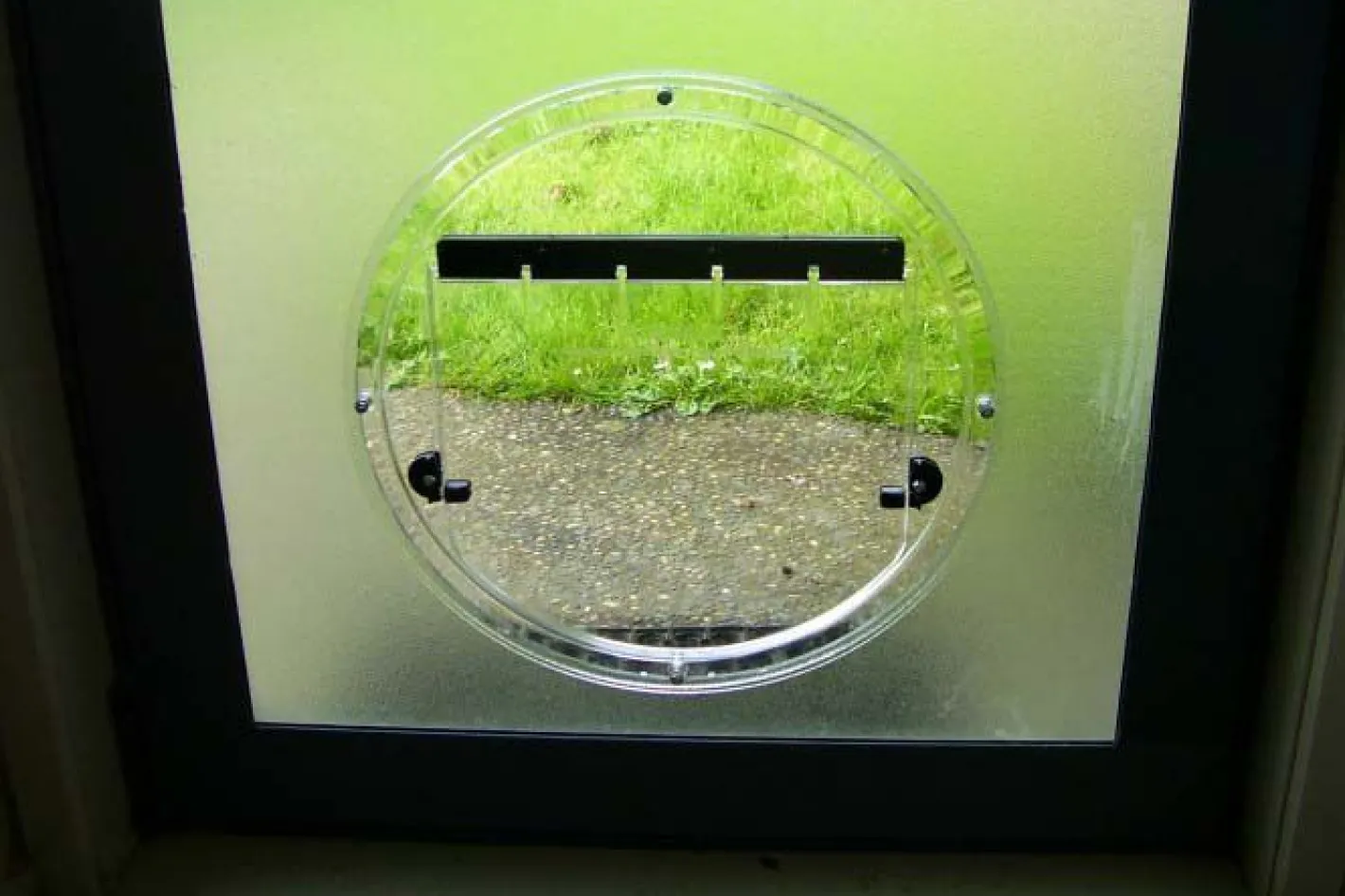 Transcat Clear Cat Door Small 4-Way Locking Door - 180mm Flap Width Online