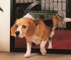 Transcat Large Pet Door for Cats & Small-Med Dogs - For Installation in Glass Doors & Windows Sale