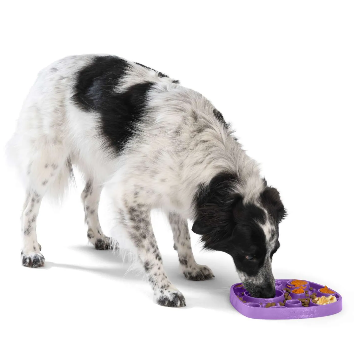 West Paw Feast Lick Mat Slow Feeder for Dogs - Bubbles Discount