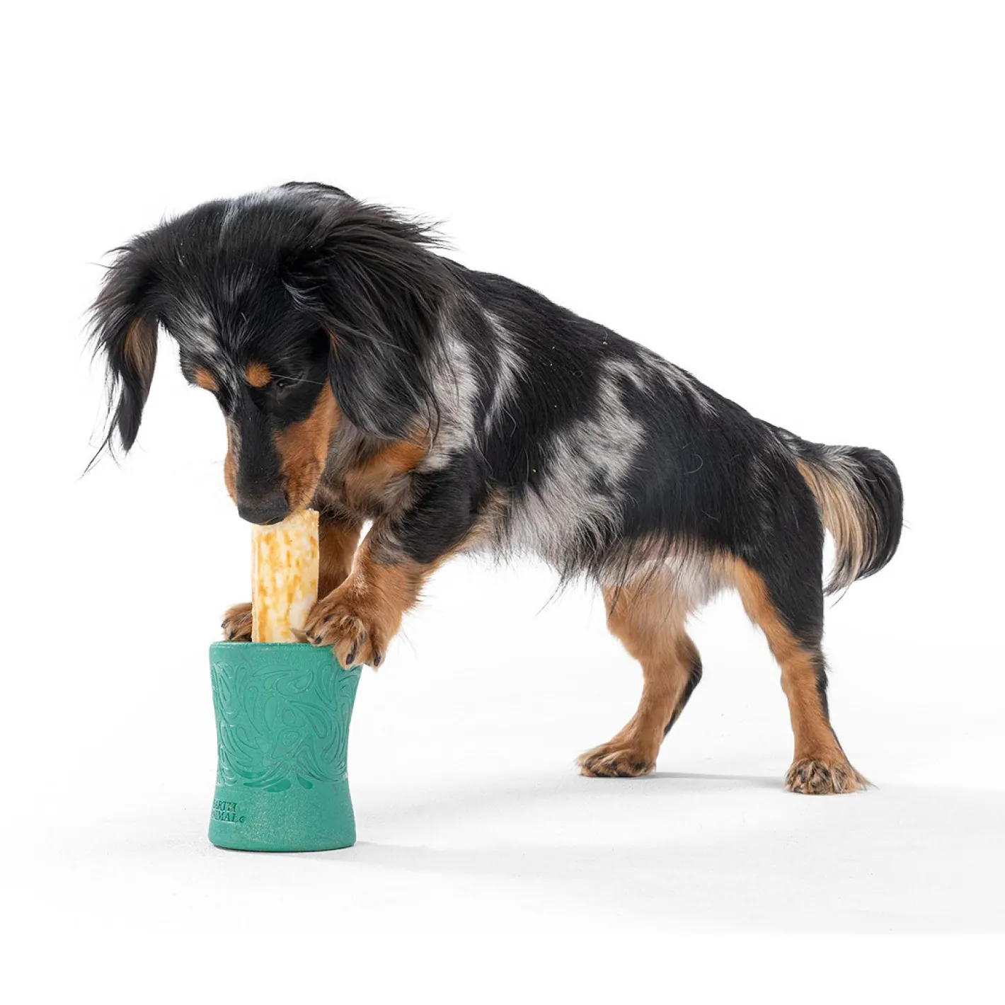 West Paw Funnl Dog Treat & Chew Hiding Toy for Moderate Chewers Fashion