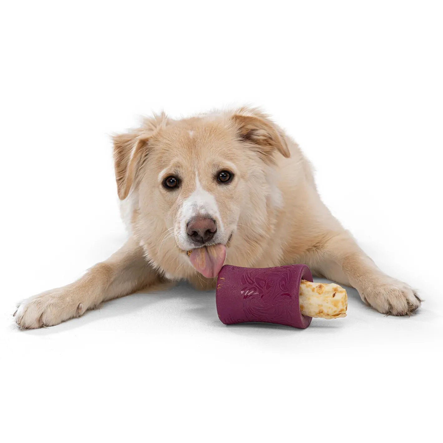 West Paw Funnl Dog Treat & Chew Hiding Toy for Moderate Chewers Fashion