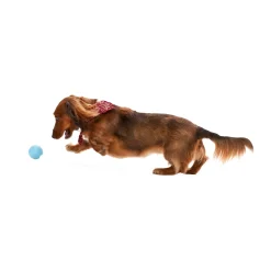 West Paw Jive Zogoflex Fetch Ball Tough Dog Toy Clearance