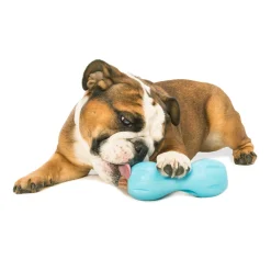 West Paw Qwizl Treat Dispensing Dog Toy - Treat Dispensing Dog Toy Outlet