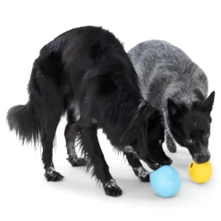 West Paw Rumbl Treat Dispensing Dog Toy - Guaranteed Tough Online