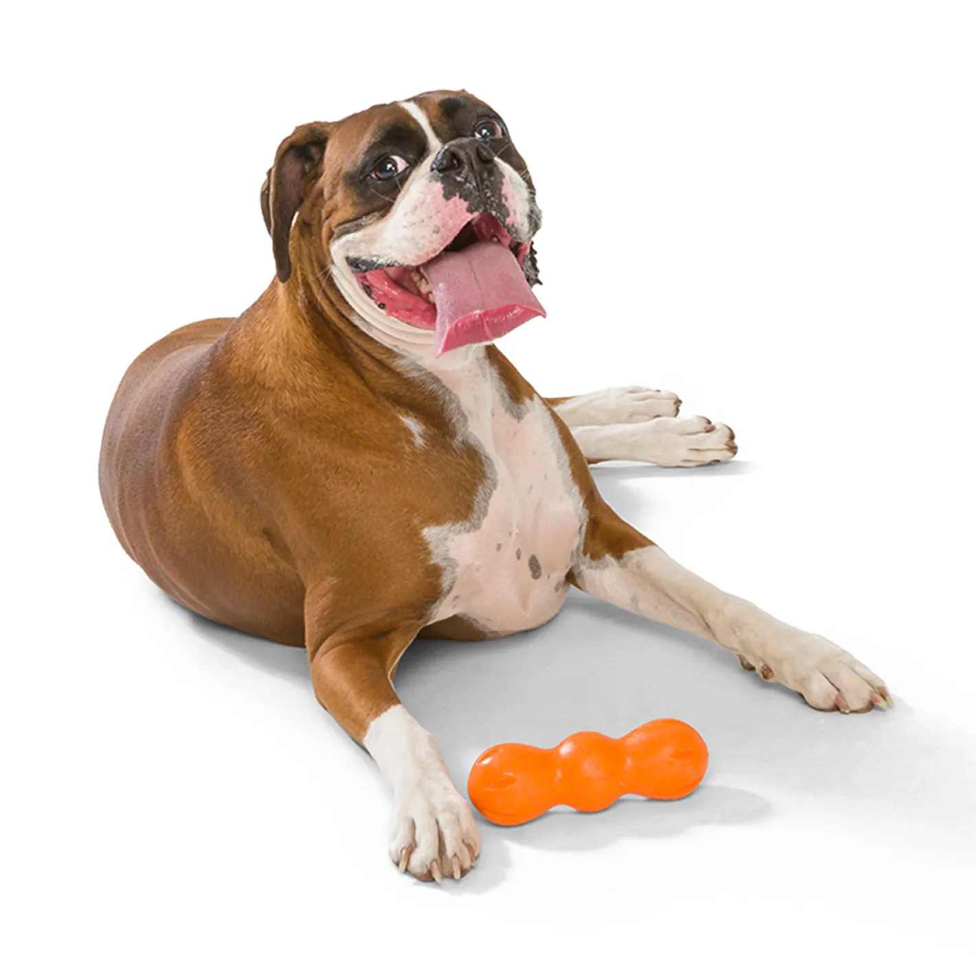 West Paw Rumpus Tough Fetch Stick Dog Toy New