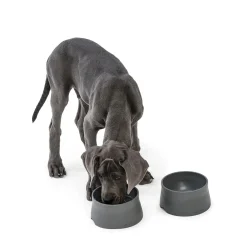 West Paw Seaflex Eco-Friendly No-Slip Dog Food Bowl Online