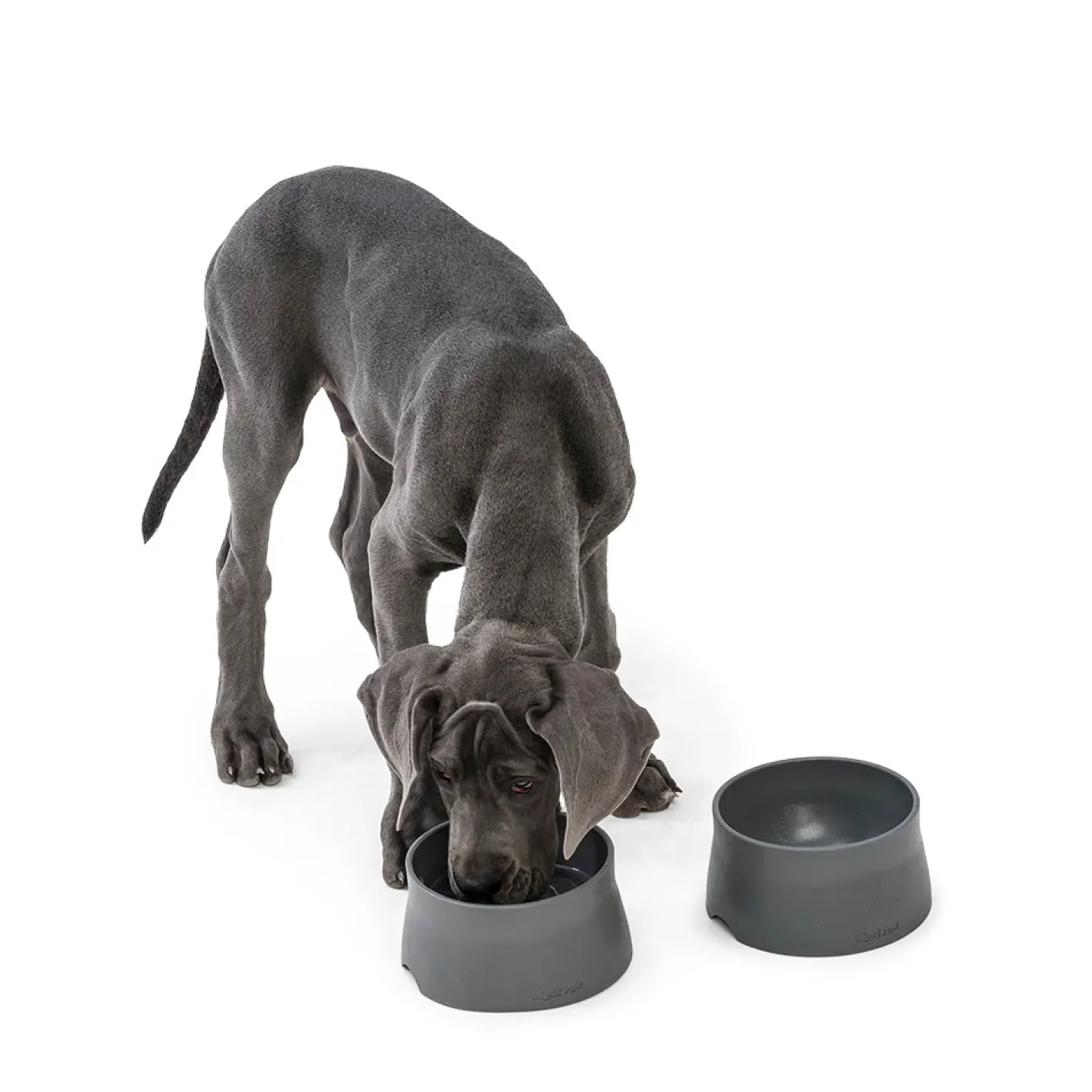 West Paw Seaflex Eco-Friendly No-Slip Dog Food Bowl Online