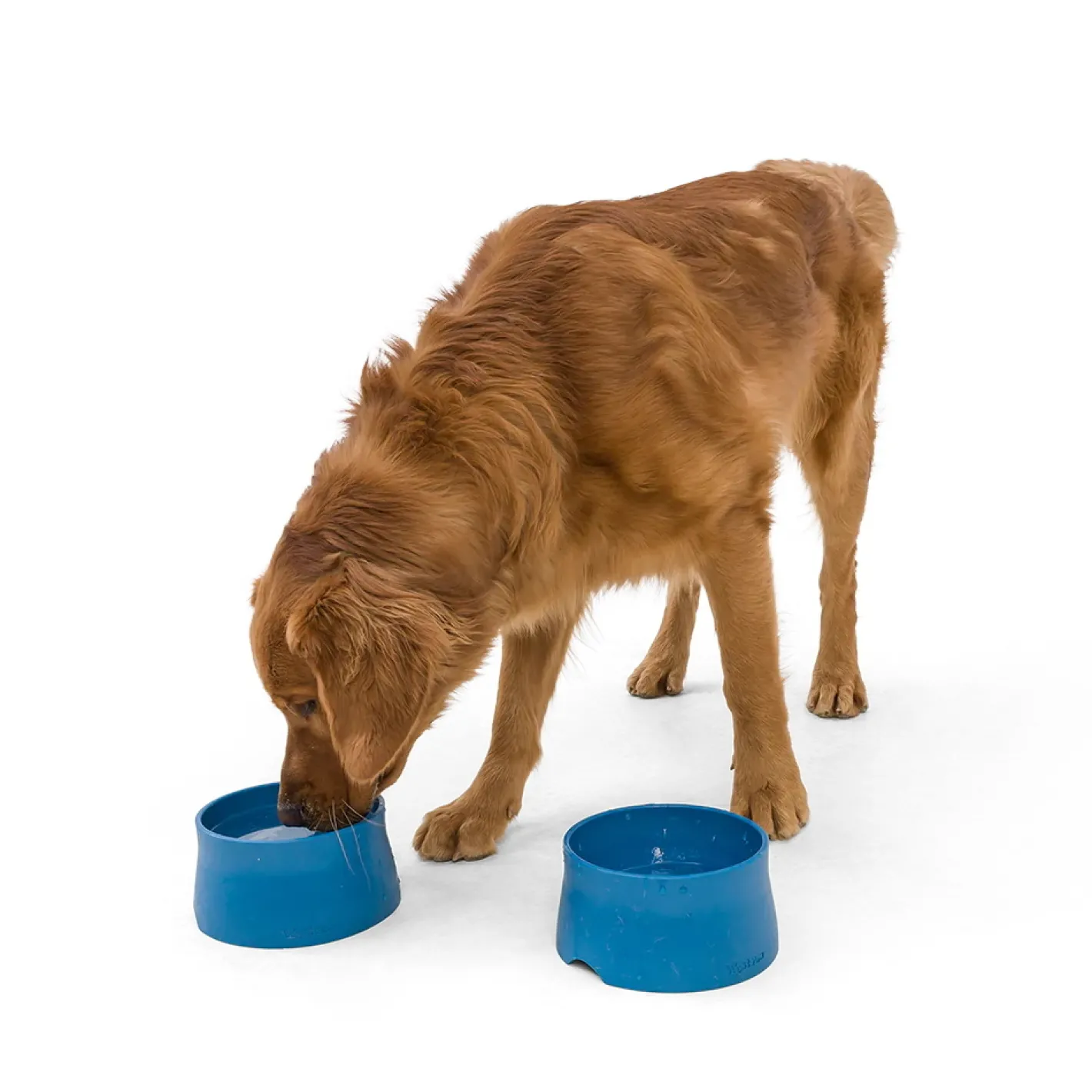West Paw Seaflex Eco-Friendly No-Slip Dog Food Bowl Online