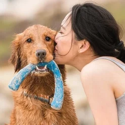 West Paw Seaflex Recycled Plastic Tug Dog Toy - Snorkl Online
