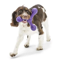 West Paw Skamp Flyer-Inspired Fetch Dog Toy in Bright Colours Online