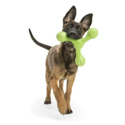 West Paw Skamp Flyer-Inspired Fetch Dog Toy in Bright Colours Online