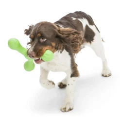 West Paw Skamp Flyer-Inspired Fetch Dog Toy in Bright Colours Online