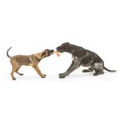 West Paw Skamp Flyer-Inspired Fetch Dog Toy in Bright Colours Online
