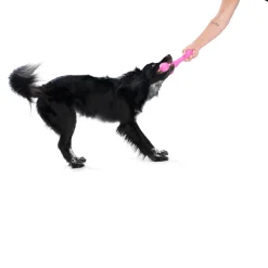 West Paw Skamp Flyer-Inspired Fetch Dog Toy in Bright Colours Online