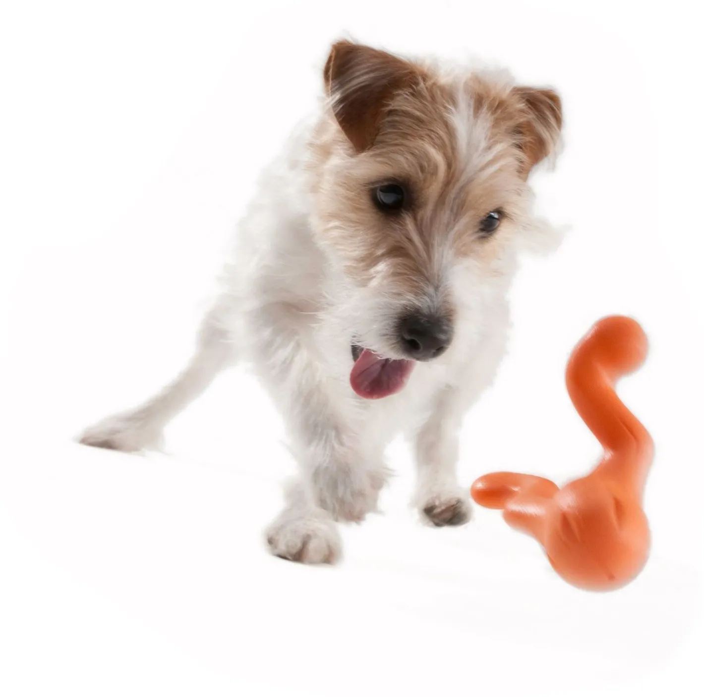 West Paw Tizzi Treat & Tug Toy for Tough Dogs Hot