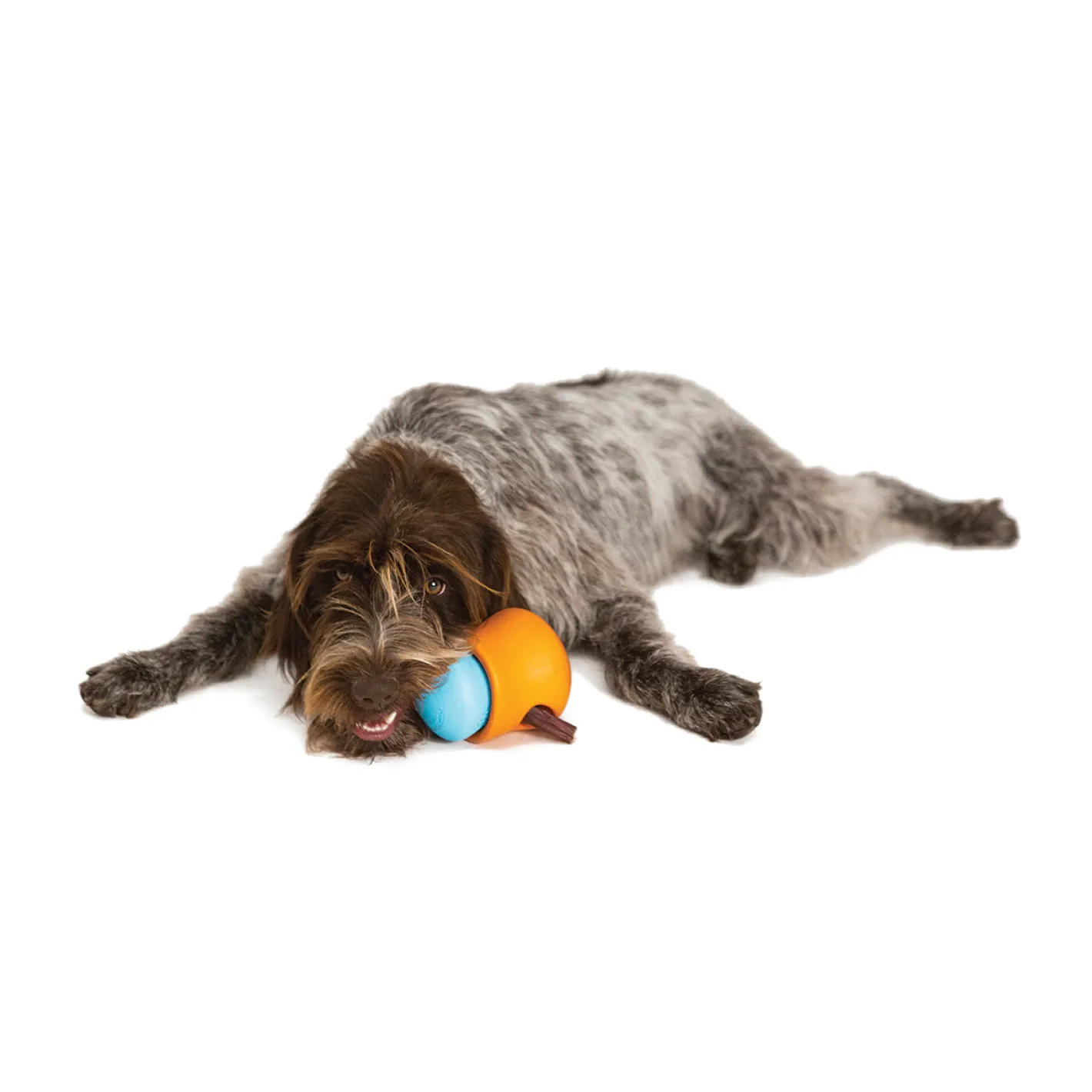West Paw Toppl Treat Dispensing Wobbling Dog Toy & Food Bowl Fashion