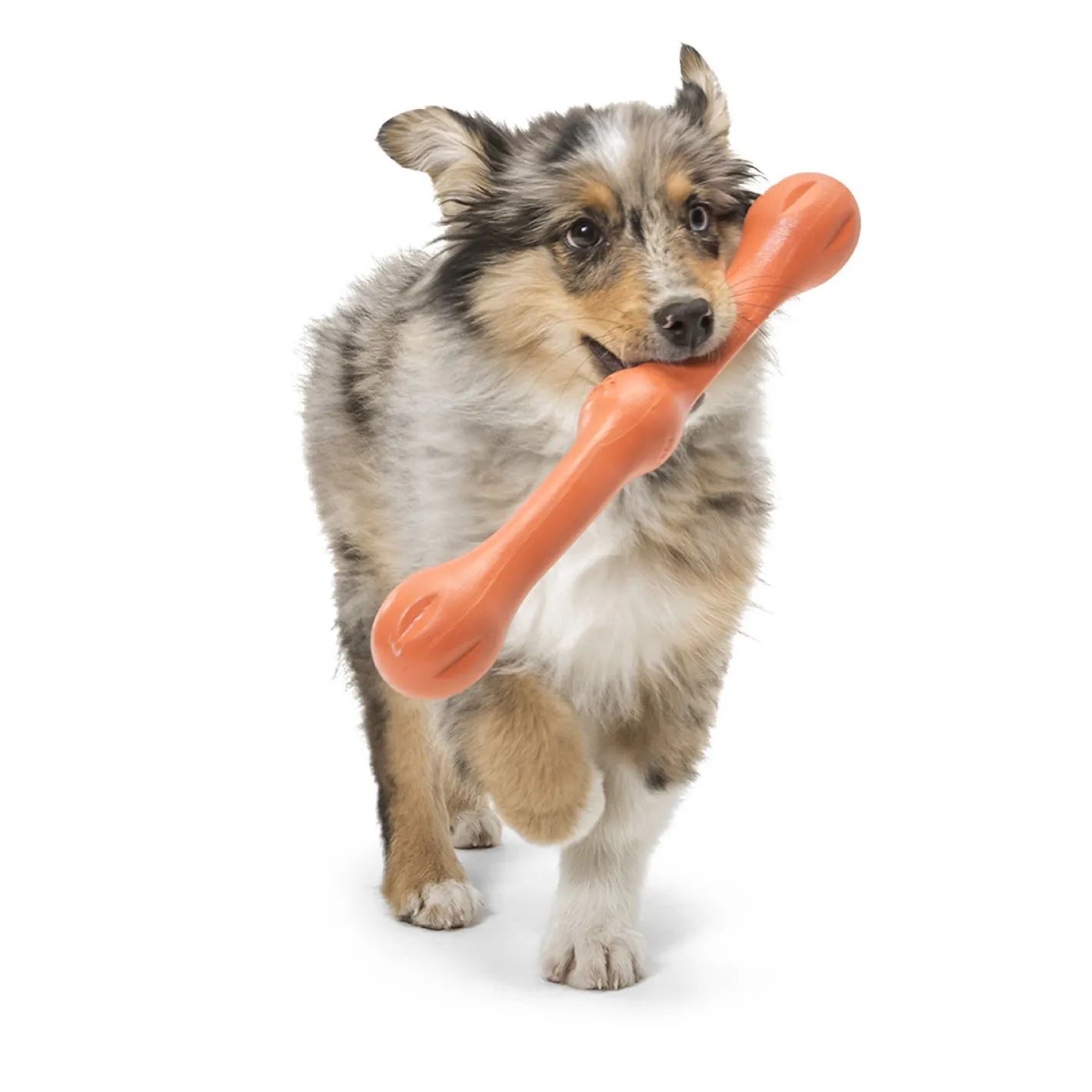 West Paw Zwig Tug & Fetch Stick Dog Toy - Guaranteed Tough Sale