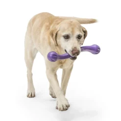 West Paw Zwig Tug & Fetch Stick Dog Toy - Guaranteed Tough Sale