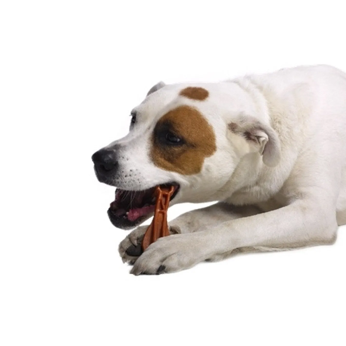 Whimzees Grain Free Veggie Dental Treats Toothbrush for Medium Dogs - 360gm bag Clearance