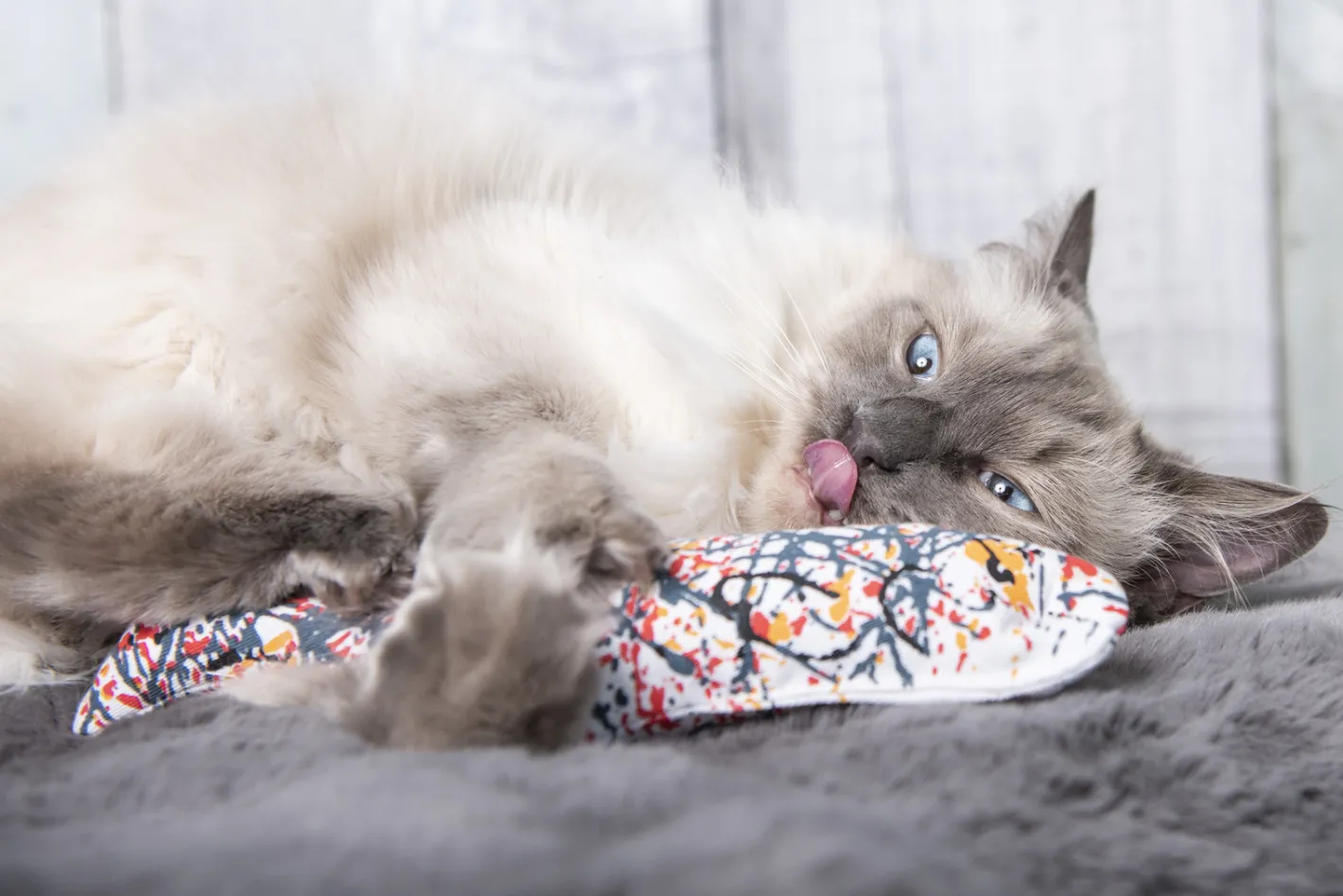 Yeowww ! Cat Toys with Pure American Catnip - Pollock Fish Online