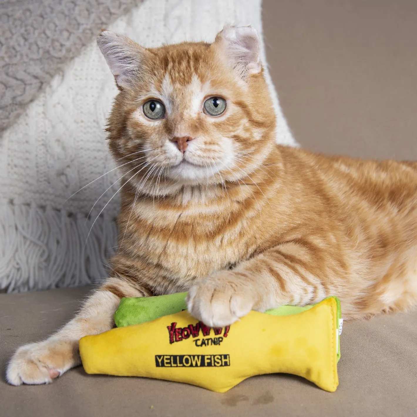 Yeowww ! Cat Toys with Pure American Catnip - Yellow Fish Hot