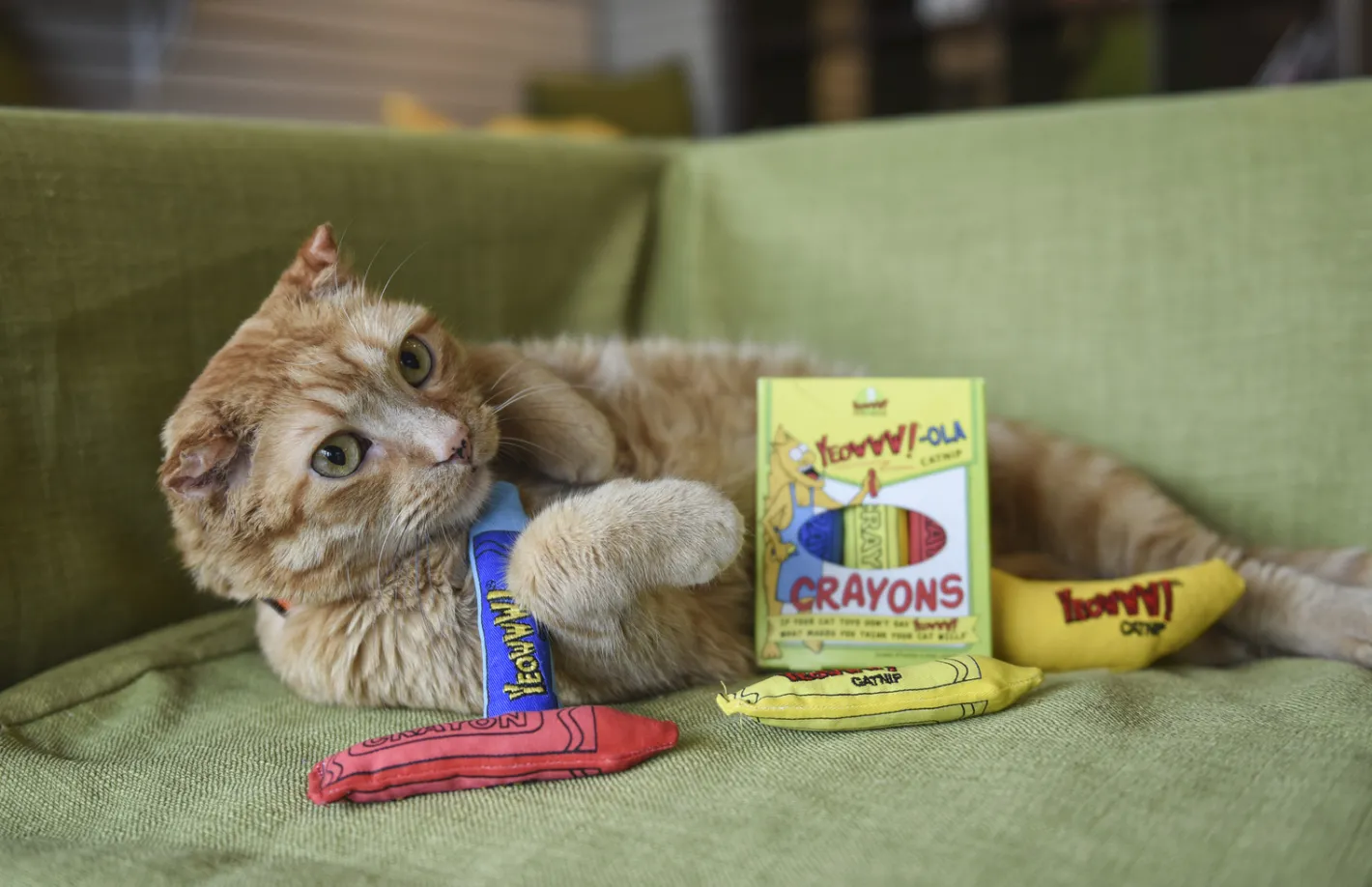Yeowww ! Cat Toys with Pure American Catnip - !-ola Crayon New