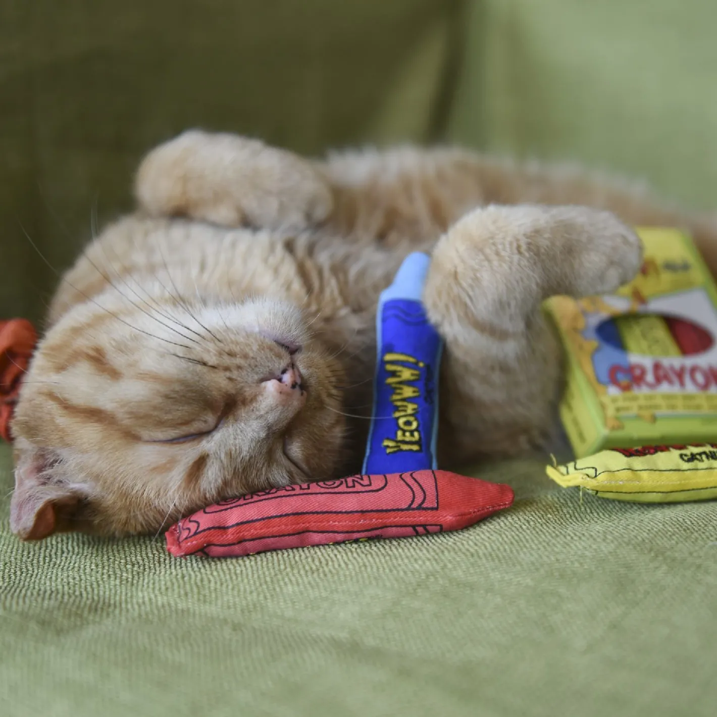 Yeowww ! Cat Toys with Pure American Catnip - !-ola Crayon New