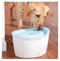Dogit Zeus H2Eau ( Fresh & Clear) Pet Water Fountain for Cats & Dogs - 6 litres Fashion